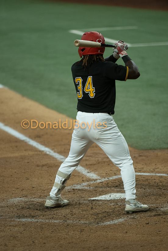 DJB_5924