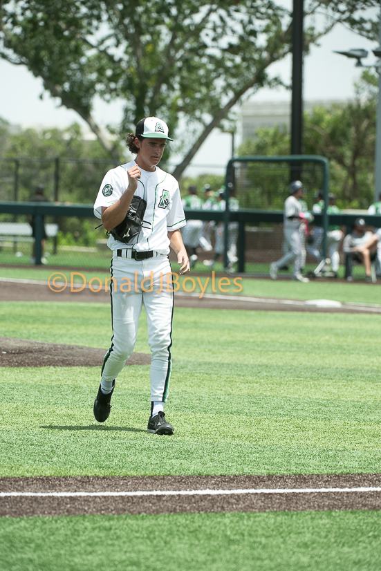 DJB_8822
