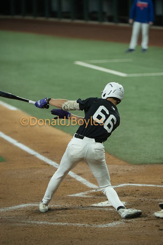 DJB_5133