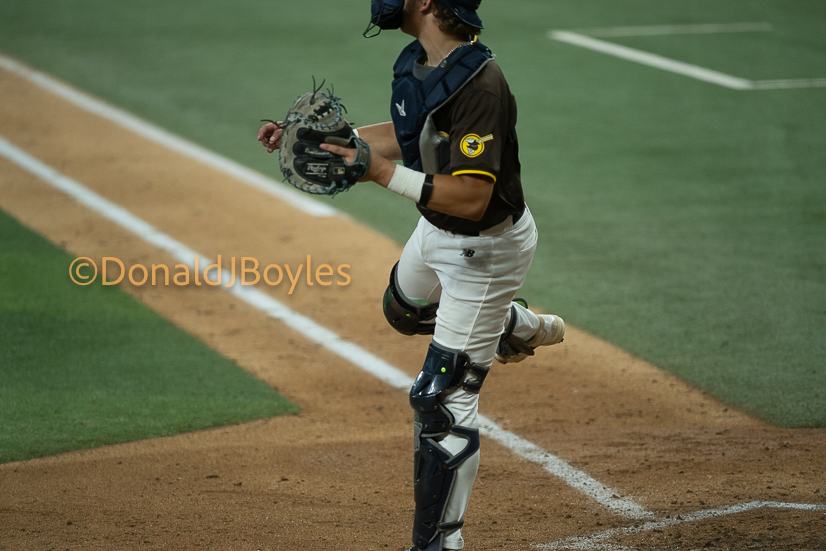DJB_6034