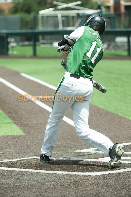 DJB_9161