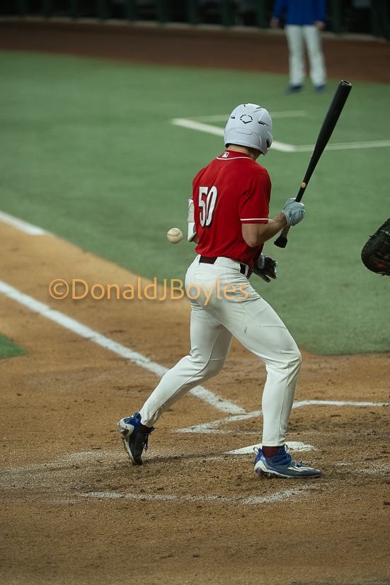 DJB_5461