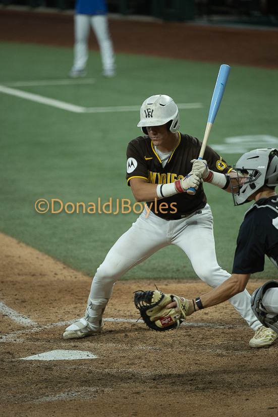DJB_6917