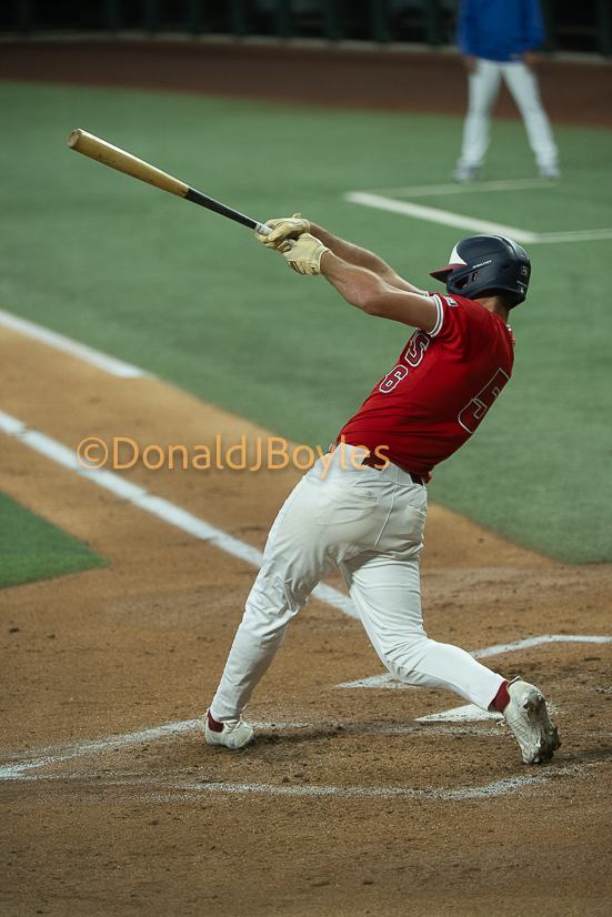 DJB_5219