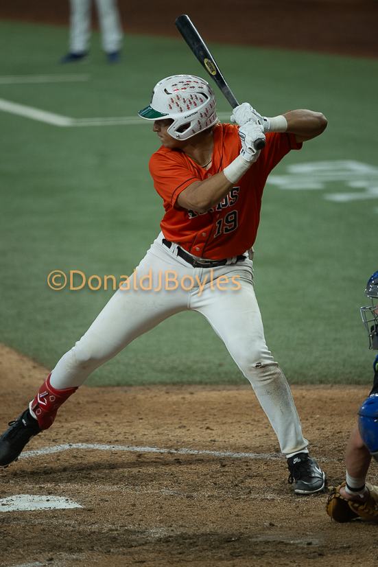 DJB_6529