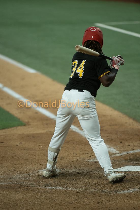 DJB_6423