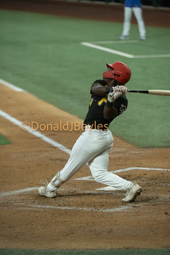 DJB_5175