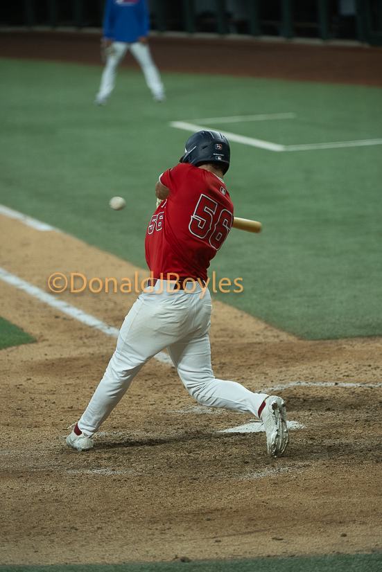 DJB_7393