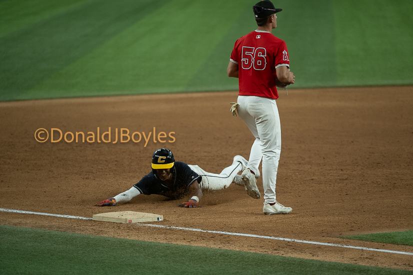 DJB_6995