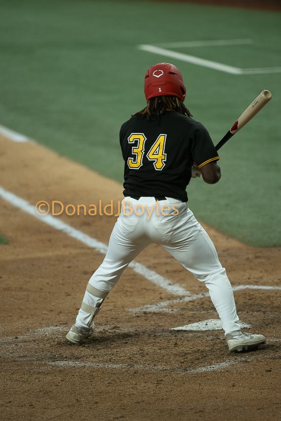DJB_5931