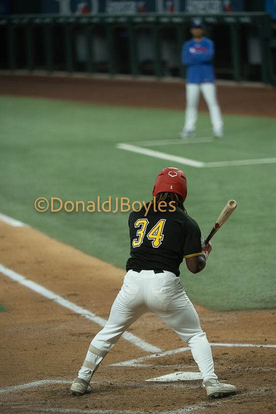 DJB_5156
