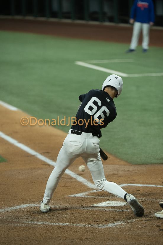 DJB_5131
