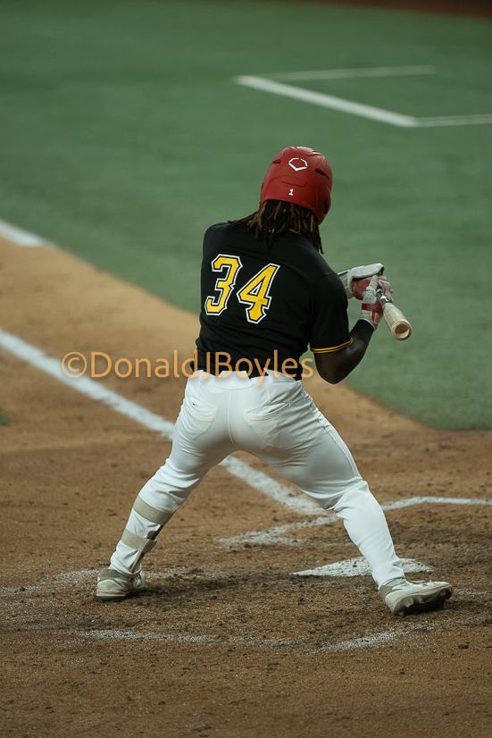 DJB_5928