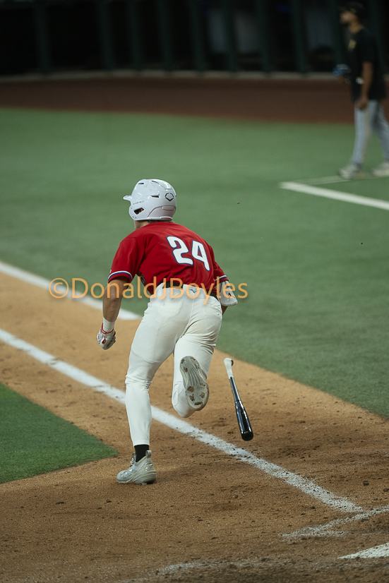 DJB_6193