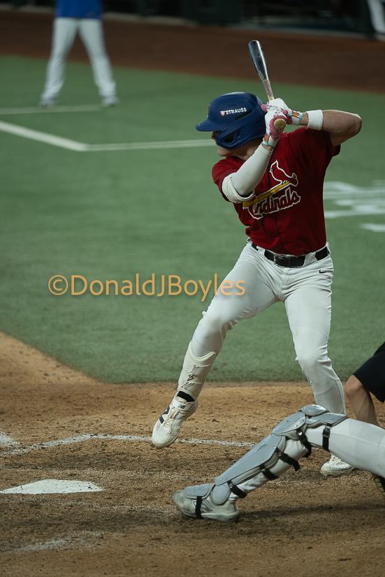 DJB_6882