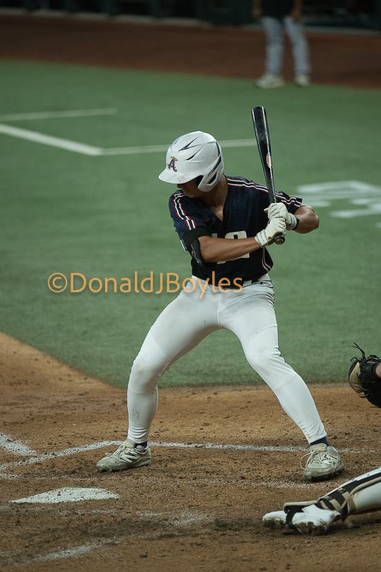 DJB_5994