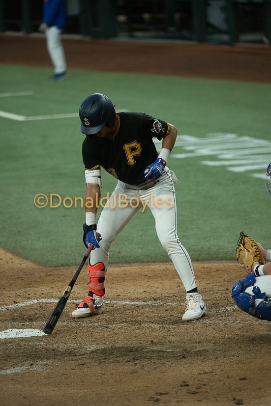 DJB_6486