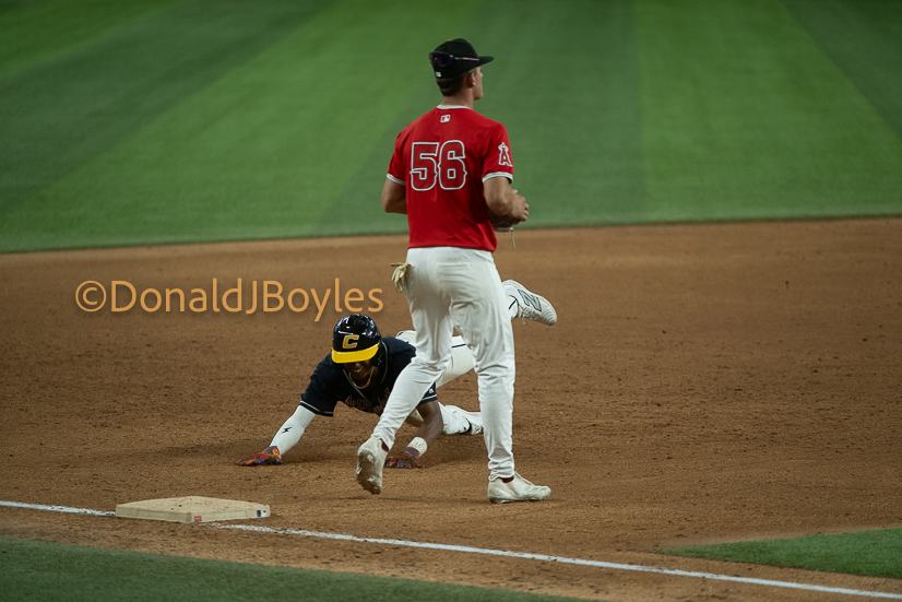 DJB_6993