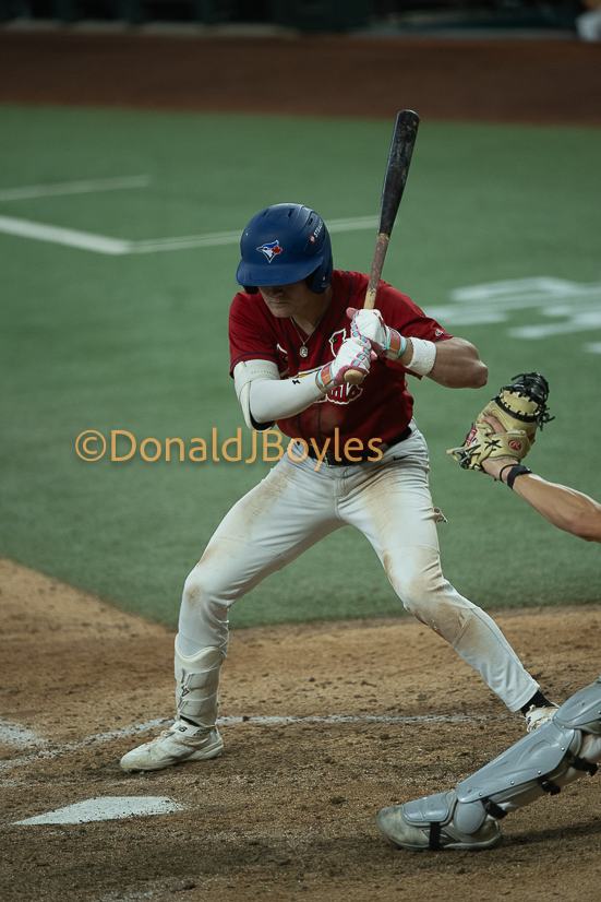 DJB_7241
