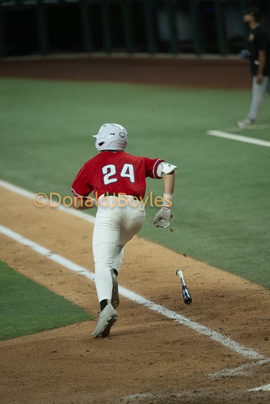 DJB_6195
