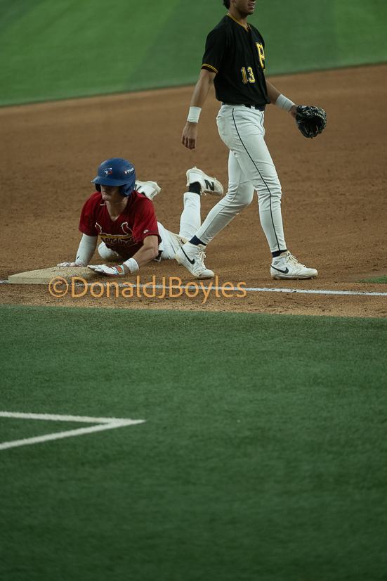 DJB_6924