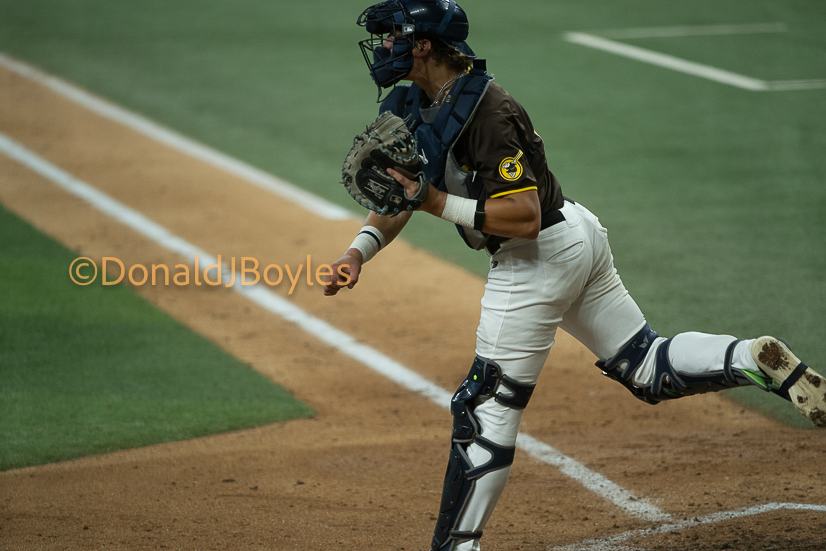DJB_6029