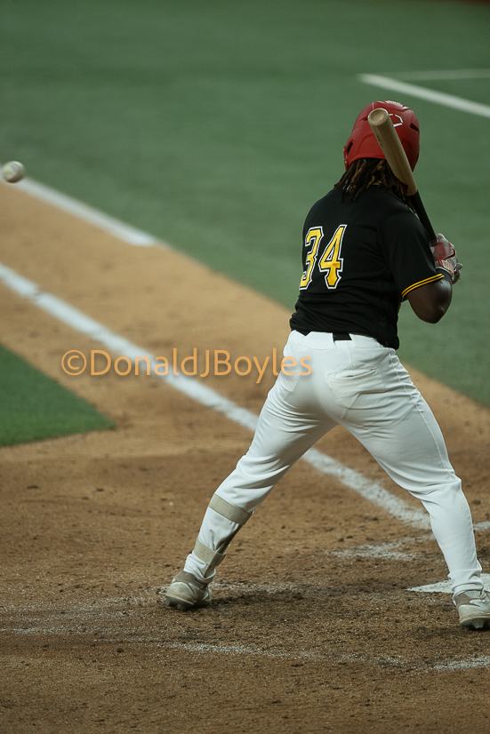 DJB_6435