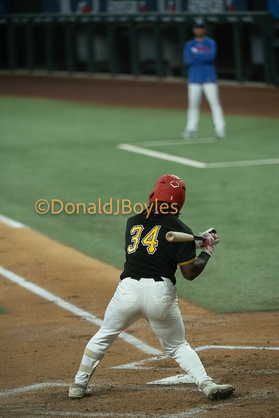 DJB_5154