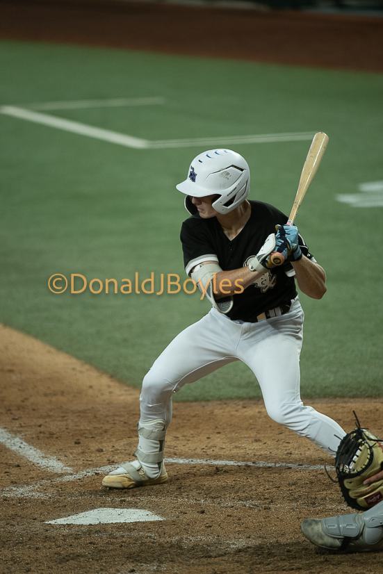DJB_6393