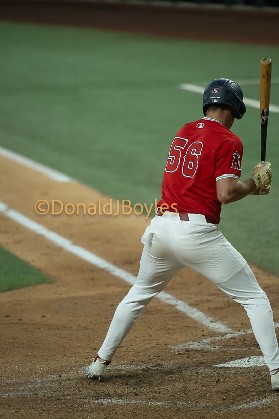 DJB_5946