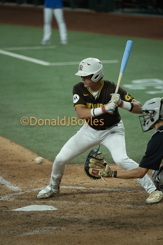 DJB_6916