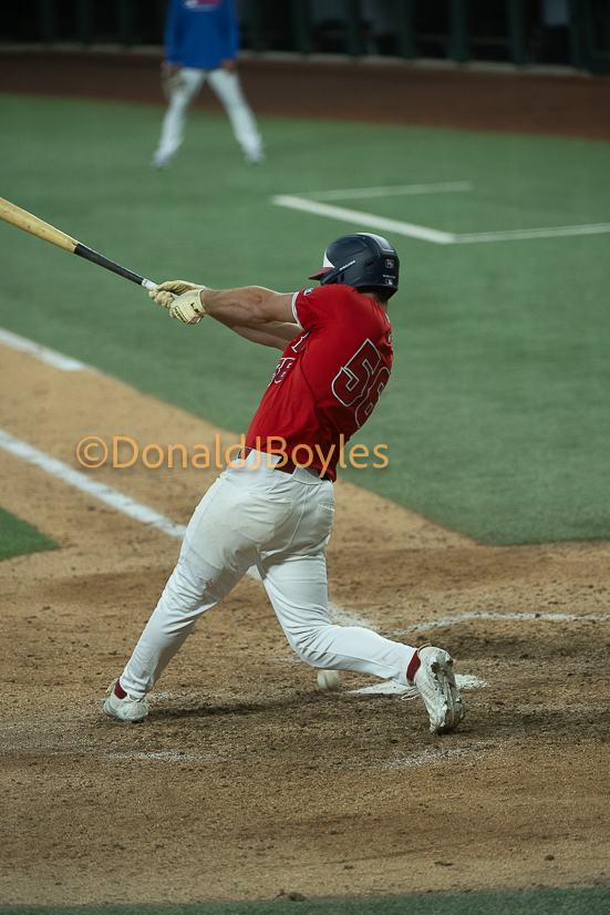 DJB_7394