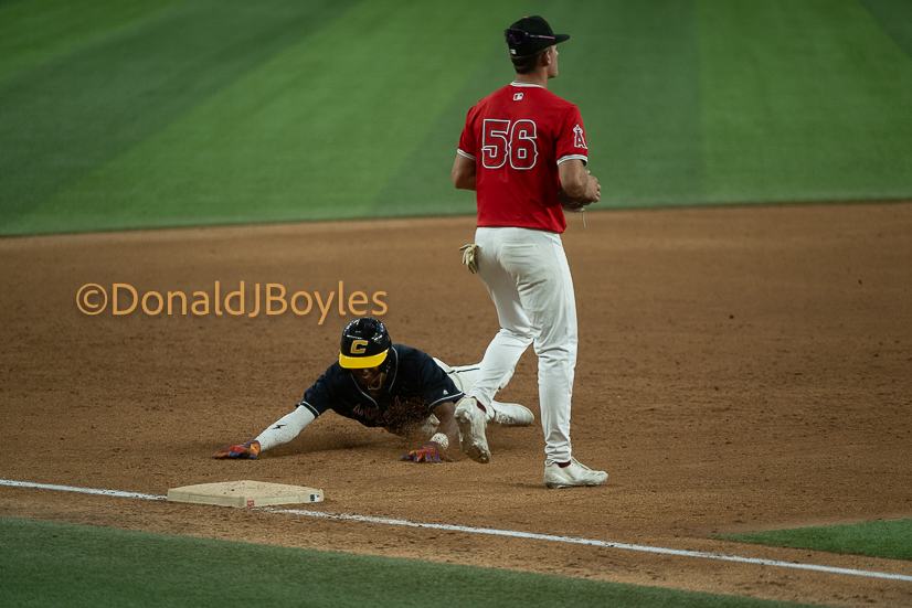 DJB_6994