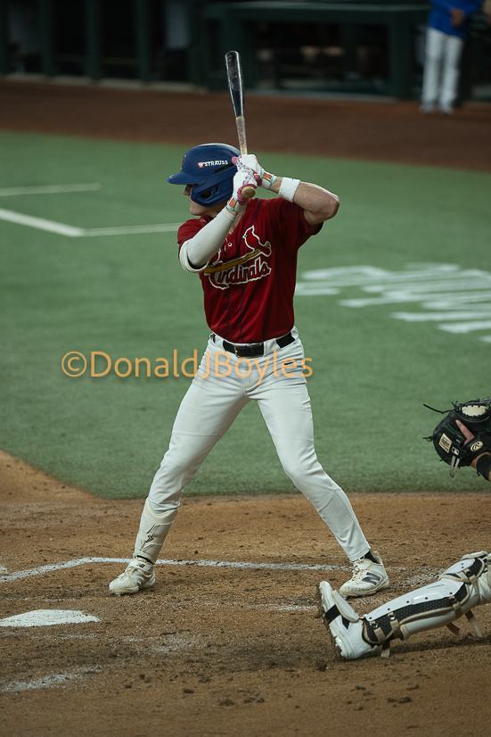 DJB_5644
