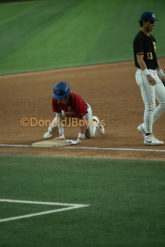 DJB_6927